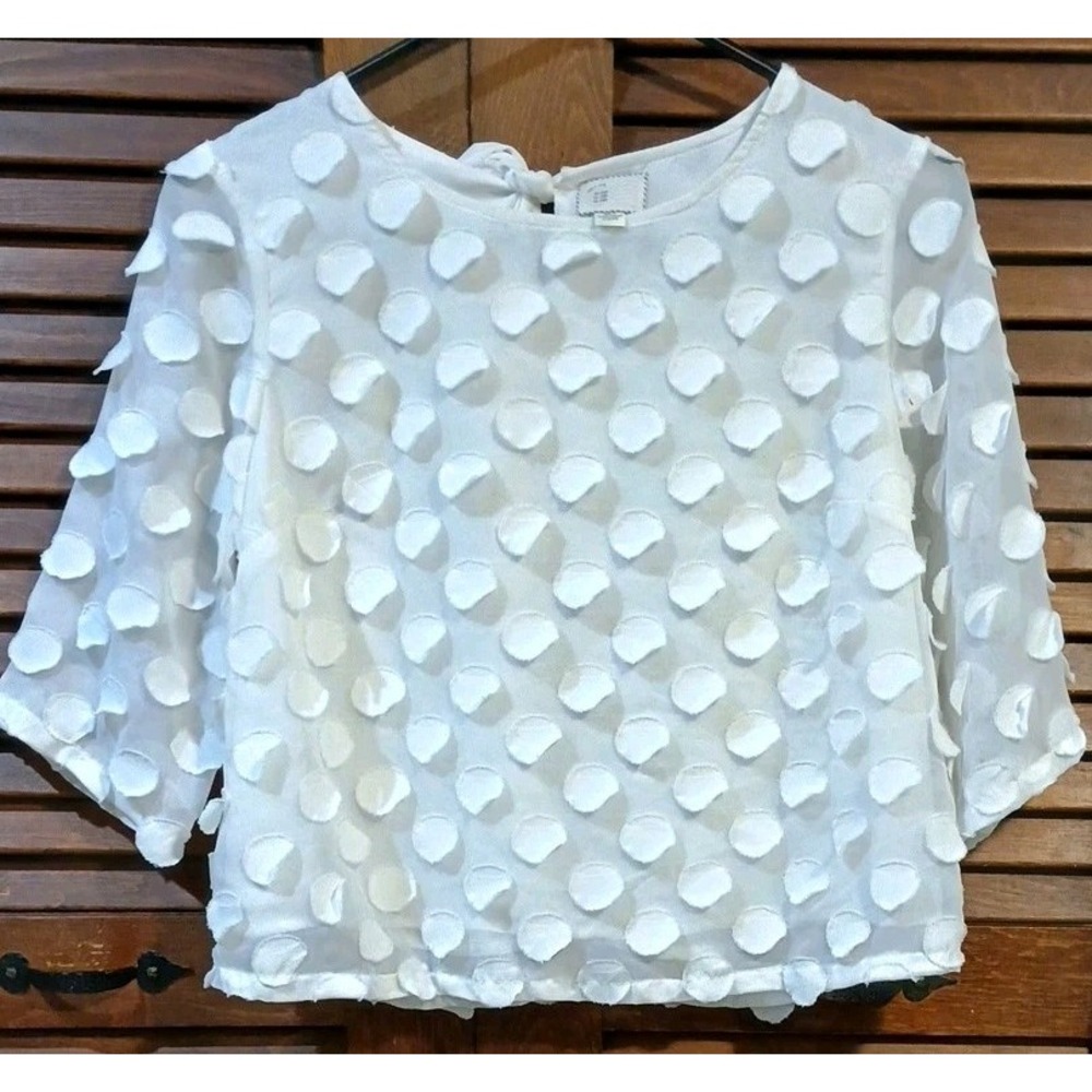 Anthropologie Postmark Fully Lined Sheer Polka Dot‎ Blouse Top - Size 4 Petite